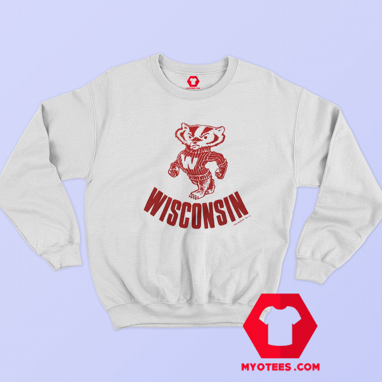 University Of Wisconsin Badgers Vintage Sweatshirt